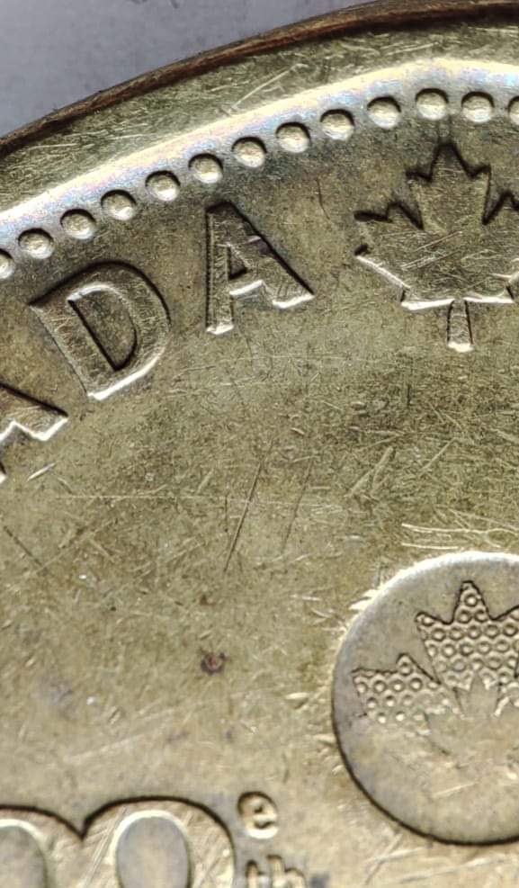 1-Dollar-2012---Grey-Cup---Canada---DDO